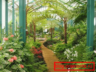 Winter garden with paths